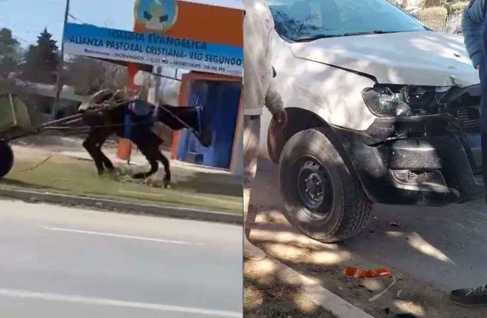 Video: un caballo desbocado revoleó al carrero y terminó chocando una camioneta | Actualidad