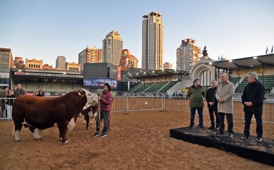 Lautaro Místico, el primer Hereford de la 136⁰ Exposición Rural | Actualidad