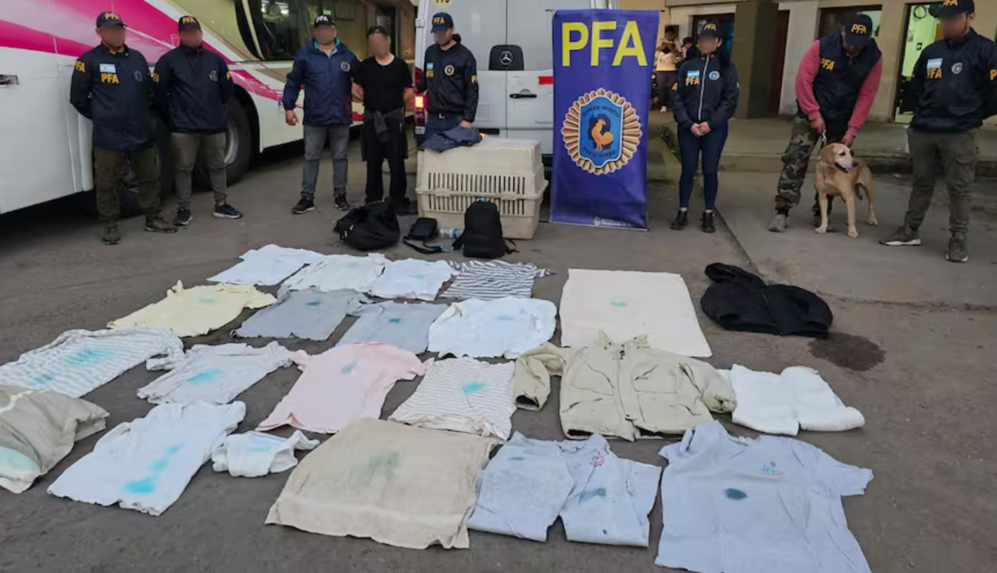 "Pasta italiana": detuvieron a un hombre que transportaba cocaína entre Europa, Argentina y Bolivia | Actualidad