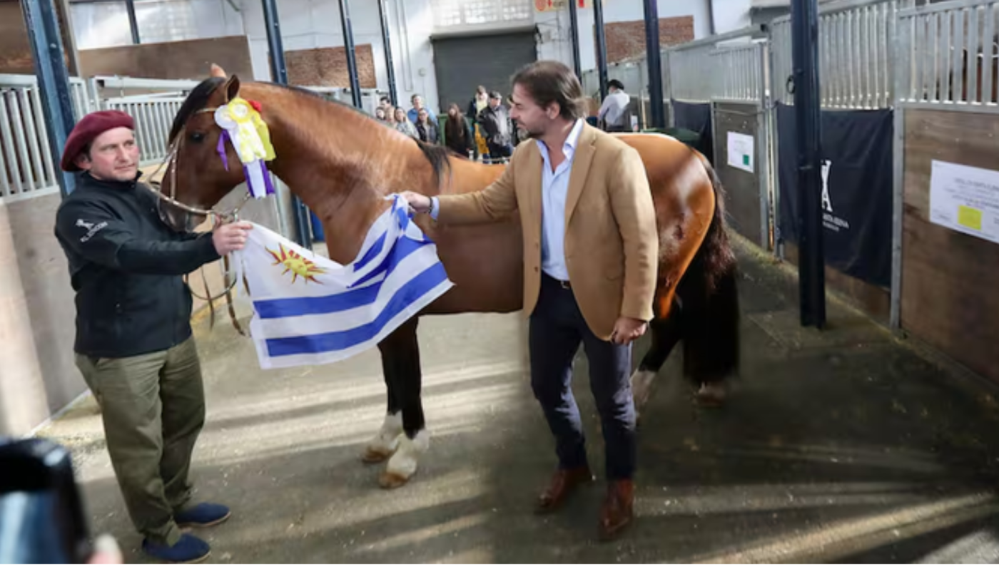 Guiño de Lacalle Pou a Milei: "No puedo recomponer lo que no está roto" | Política
