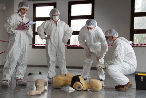 Uruguay: nuevo hallazgo de restos óseos en un predio militar | Internacionales