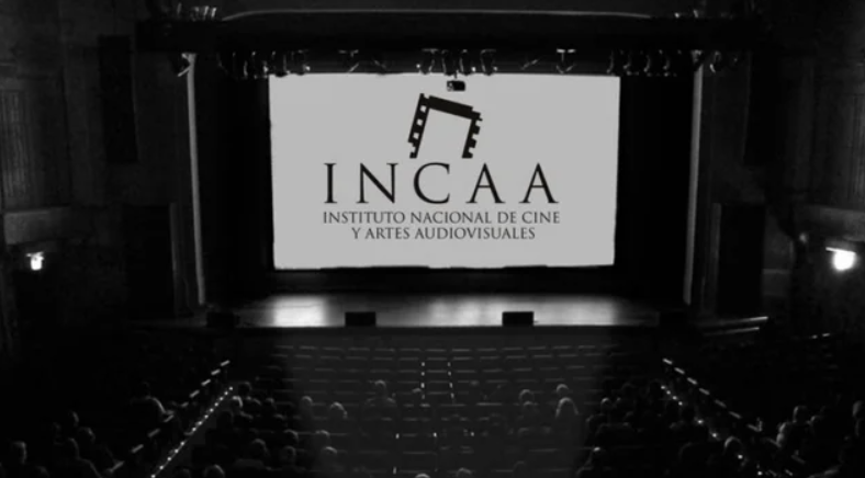 Cambios en el financiamiento del INCAA: no hay subsidio para "películas sin espectadores" | Política