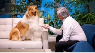 Milei le ofreció a Alberto Fernández adoptar a su perro Dylan | Política