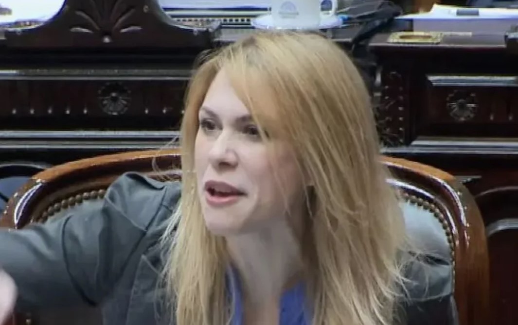 Lemoine despotricó contra Arrieta: "La diputada del patito está desequilibrada mentalmente" | Política