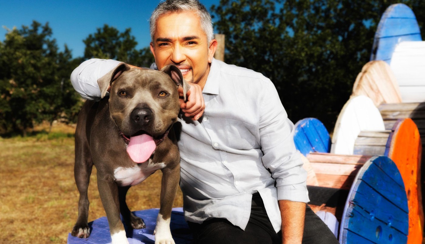 "El encantador de perros", César Millán, acusado por maltrato animal | Espectáculos