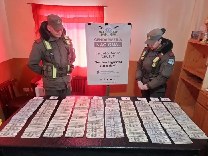 Encontraron 96.200 dólares en un micro en Chubut | Actualidad