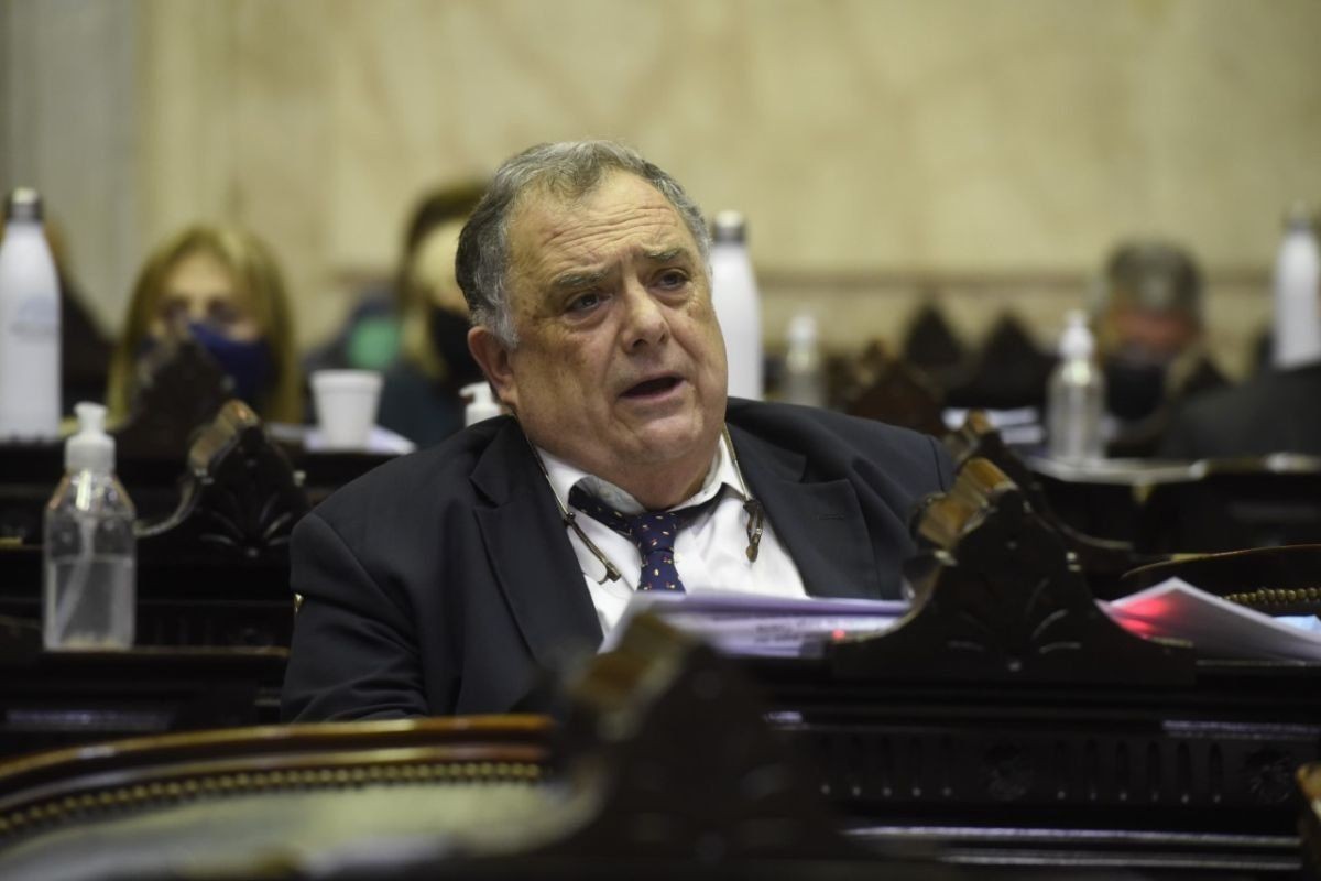 Valdés: "Cristina tiene liderazgo, y junto a Perón y Evita quedarán en la historia" | Política