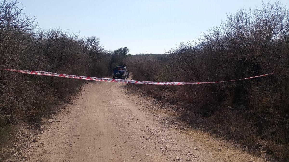 Dólares e incendio: hipótesis del hallazgo de una escritora asesinada en Córdoba | Actualidad