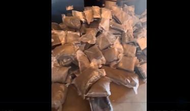 Se descargaron 500 kilos de marihuana en un criadero de pollos en Exaltación de la Cruz | Actualidad