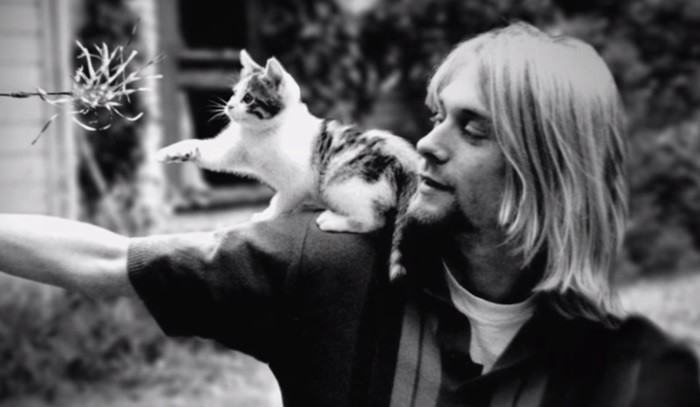 Tras 22 años, publican fotos del arma con la que Kurt Cobain se quitó la vida | Espectáculos