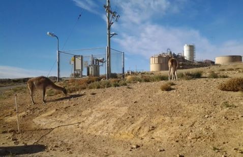 Pan American Silver cierra la mina de oro y plata en Santa Cruz: "El impacto para la localidad es algo tremendo" | Economía