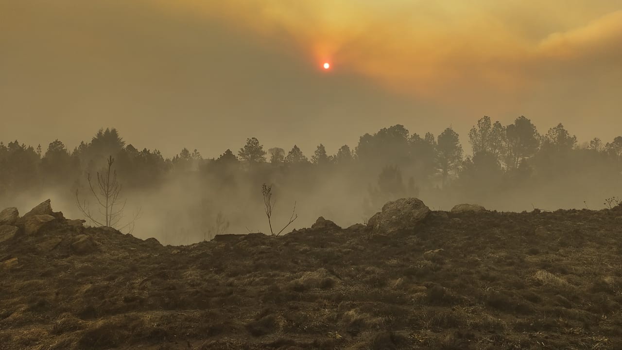 Fiscales ambientales piden que se legisle el Ecocidio | Actualidad