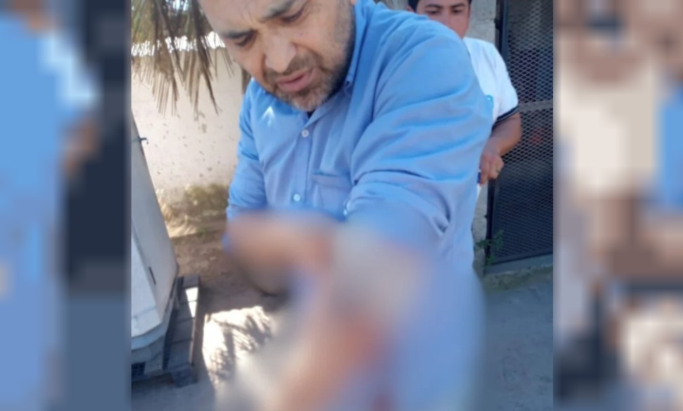 Paro en una empresa de colectivos por el ataque a un chofer en Luis Guillón | Actualidad