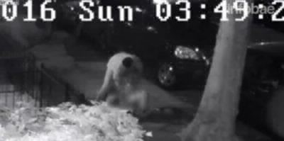 Video estremecedor: un hombre intentó violar a una mujer en las calles de Nueva York | Curiosidades