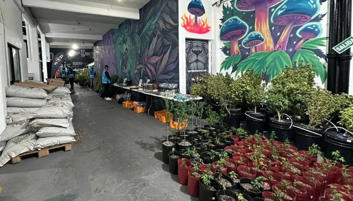 Desbarataron una banda narco que vendía “dulces mágicos” en redes sociales | Actualidad