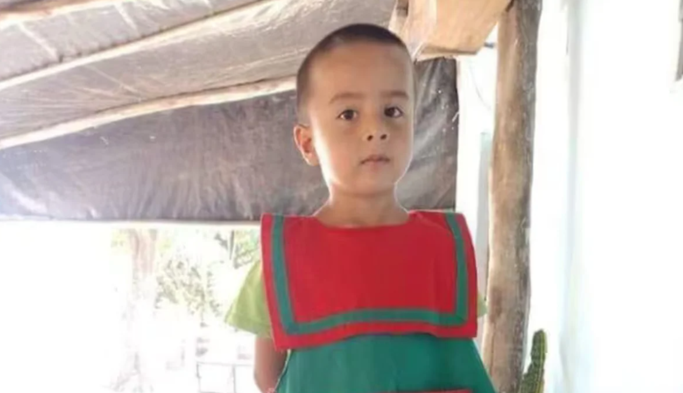 Caso Loan: la jueza solicitó imágenes tomadas por satélites en el campo de la abuela Catalina | Actualidad