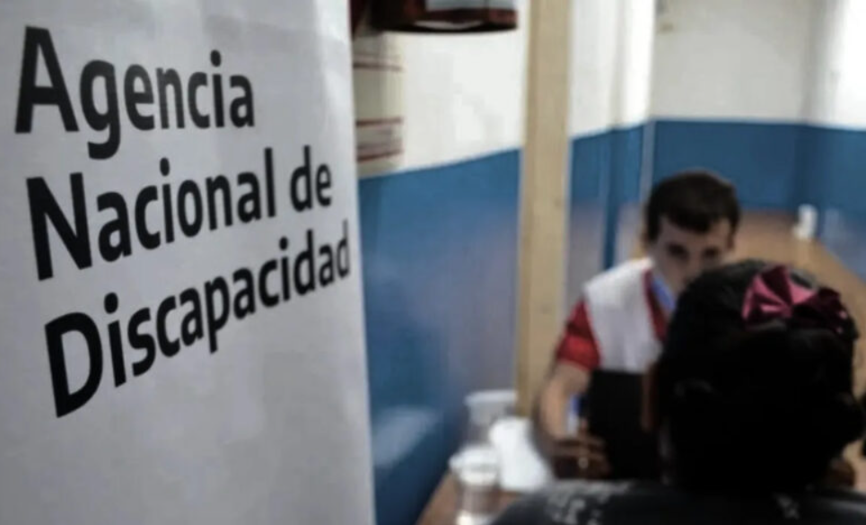 Irregularidades: el Gobierno nacional avanzará con la baja de 200.000 pensiones por discapacidad | Política