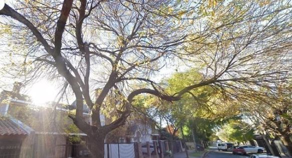 Asaltaron y golpearon a una fiscal delante de su esposo en su casa de Castelar | Actualidad