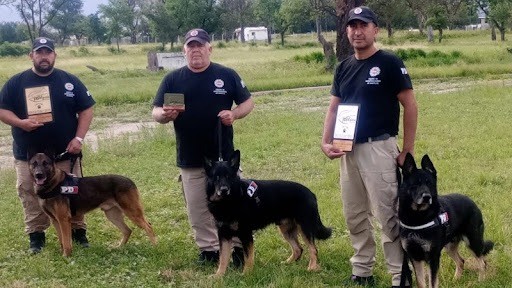 Rosario: perros policiales salieron campeones en una competencia de detección de sustancias y búsqueda de personas | Actualidad