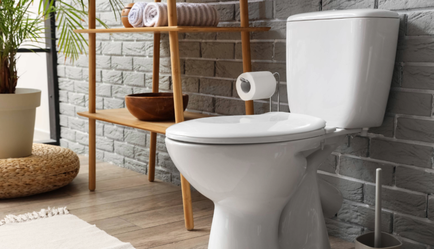 El inodoro, "un lugar de paz": el proyecto de una diputada bonaerense | Política