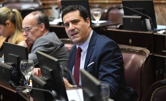 Abad explicó por qué no votó la expulsión de Kueider: "El Senado se convirtió en juez" | Política