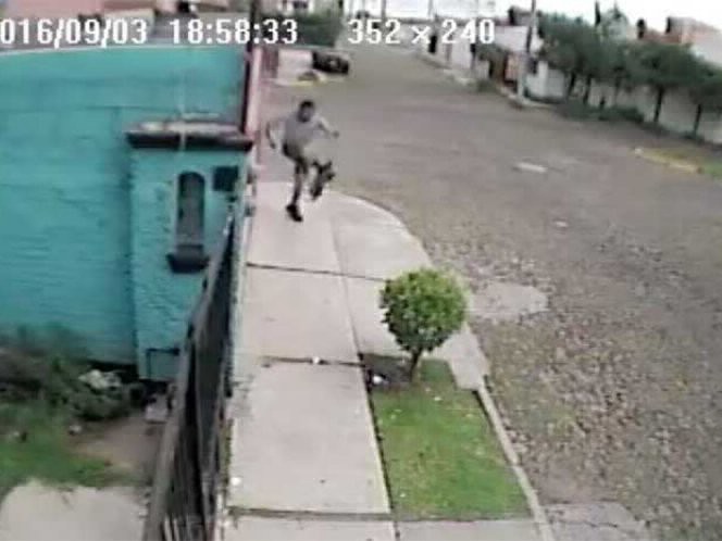 Furia en las redes por el hombre que patea a un gato en México | Curiosidades