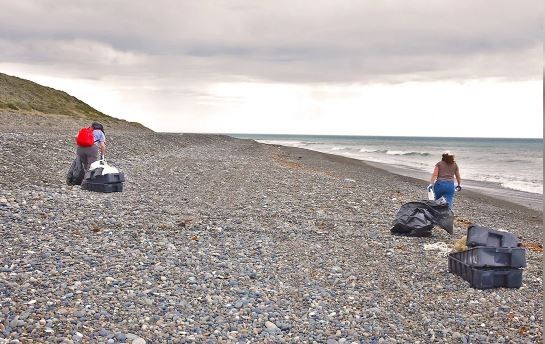 Recolectan más de 100 kilos de basura de una playa argentina | Actualidad