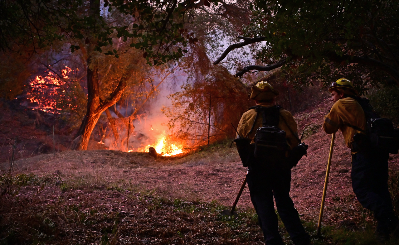 Asciende a 16 la cifra de muertos por incendios forestales en Los Angeles | Internacionales