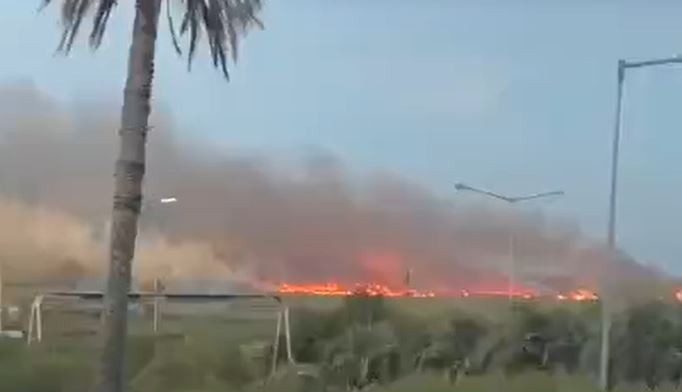 Voraz incendio en Campana afectó al Parque Nacional Ciervo de los Pantanos | Clima, naturaleza y medio ambiente