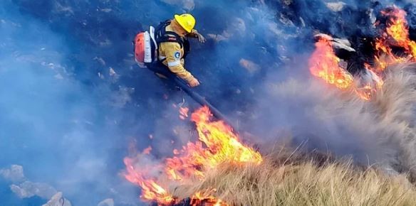 Chubut: un nuevo foco de incendio se originó en Puerto Madryn | Clima, naturaleza y medio ambiente