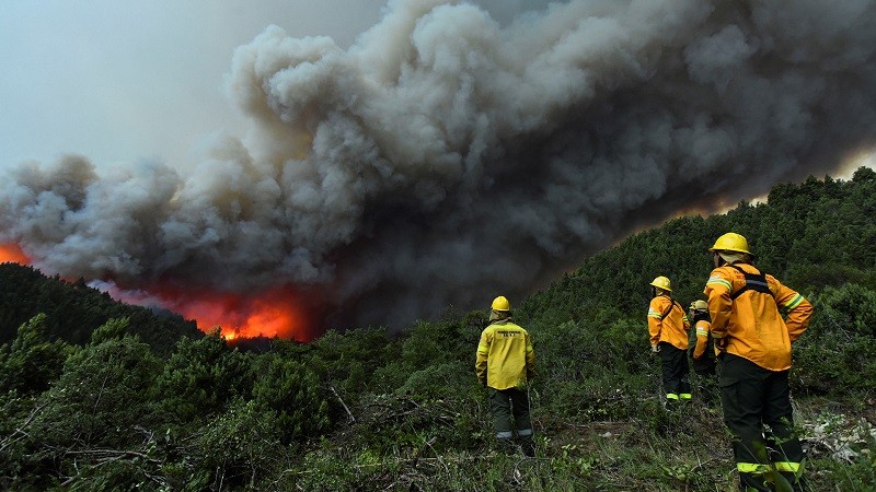 Detuvieron a tres sospechosos por los incendios en El Bolsón | Actualidad