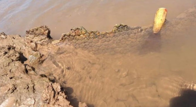 Increíble hallazgo: un joven encontró restos fósiles en un río de Córdoba | Actualidad