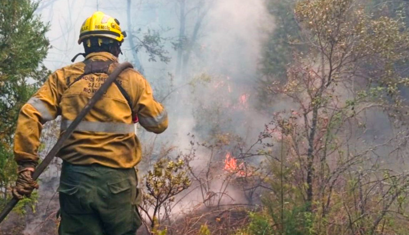 Contuvieron el fuego en Epuyén y detuvieron a dos mujeres por provocación del foco ígneo | Actualidad