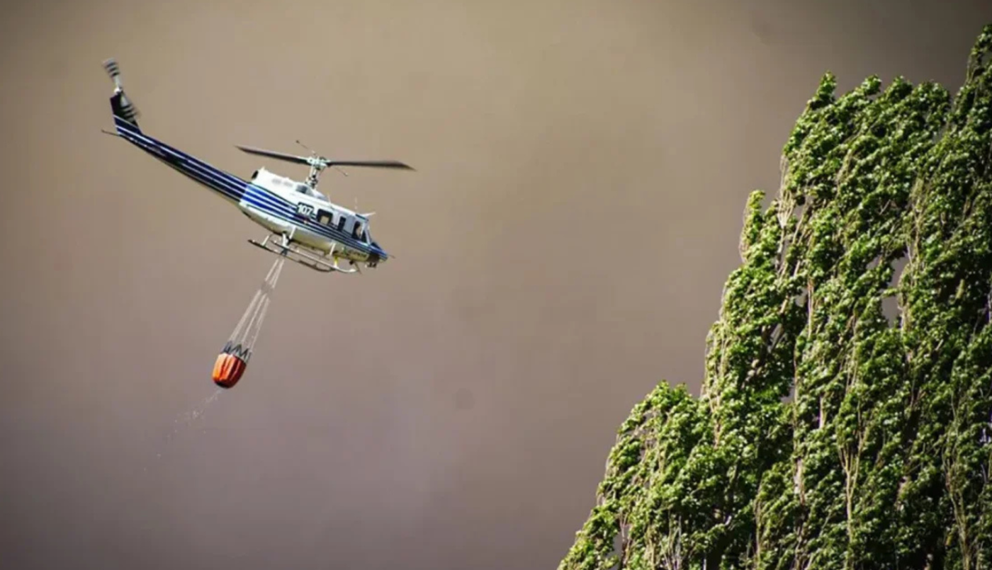 Incendios en Neuquén: continúan las evacuaciones y llegan más bomberos | Clima, naturaleza y medio ambiente