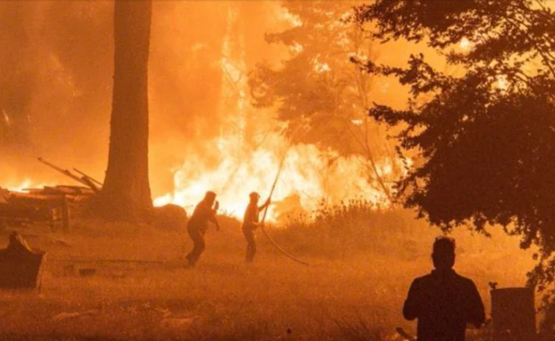 Incendios en la Patagonia: el Gobierno los atribuyó a "terroristas disfrazados de mapuches" | Política
