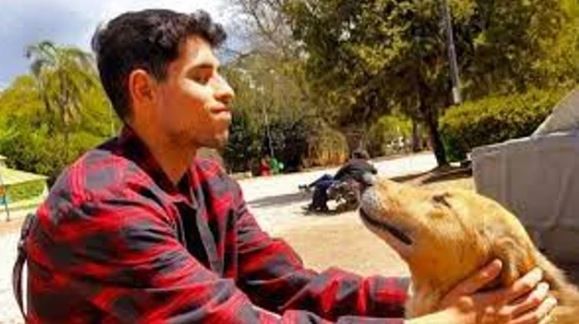 Creó una app para buscar mascotas perdidas que ya se usa en la Patagonia por los incendios | Actualidad