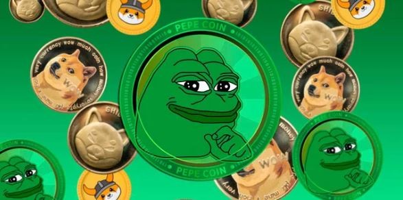 Las "meme coins", una inversión con poca información y alto riesgo | Economía