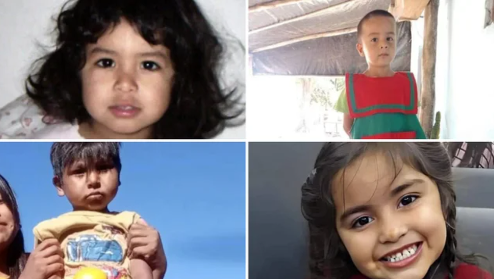 Cuántas veces se activó el Alerta Sofía en la Argentina | Actualidad