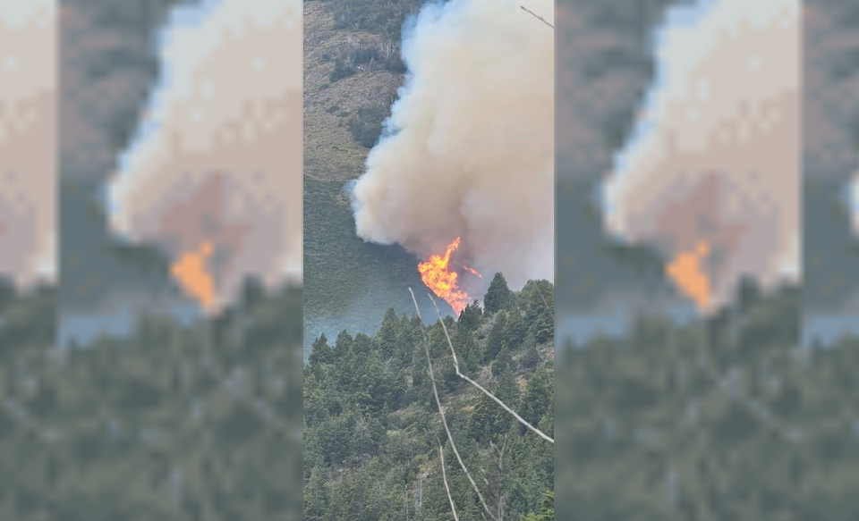 Un hombre admitió haber originado el incendio forestal en el cerro Meta | Actualidad