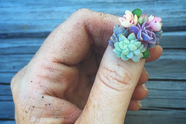 La nueva y alocada tendencia es usar plantas en las uñas... aunque usted no lo crea | Curiosidades