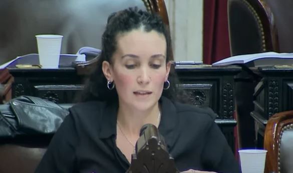 Desde el kirchnerismo proponen duplicar los montos de Anses para víctimas de las inundaciones en Bahía Blanca | Política