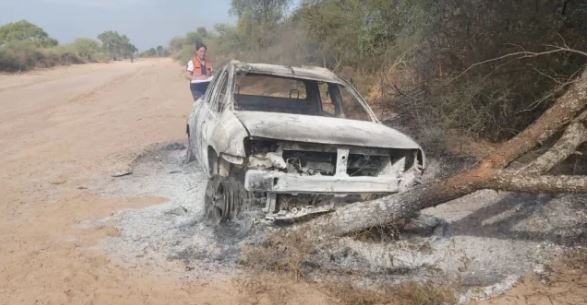 Insólito: se dirigía al cementerio, lo picó un enjambre de abejas, chocó contra un árbol y murió carbonizado | Actualidad
