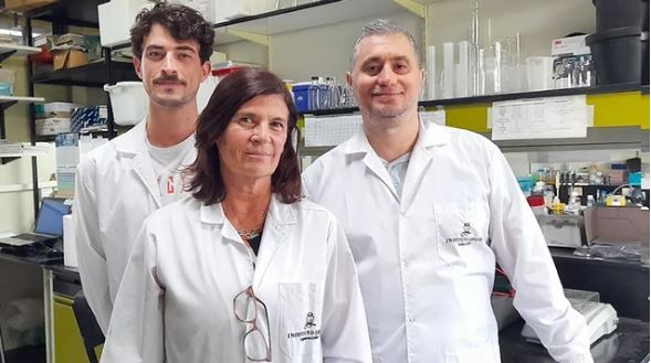 Un hallazgo de científicos argentinos podría ayudar a desarrollar una terapia para frenar el Alzheimer | Actualidad