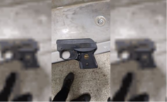 Pánico en Mar del Plata: un estudiante fue con un arma de fuego a la escuela | Actualidad