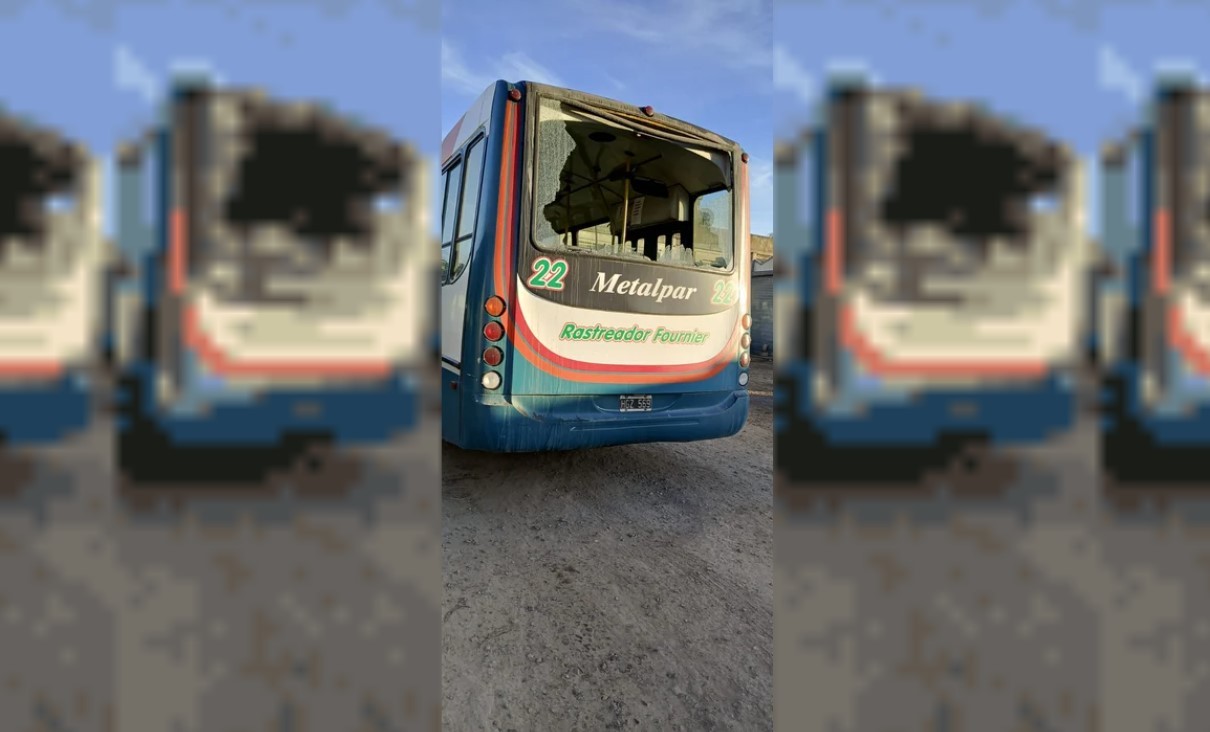 Paro en Bahía Blanca: suspendieron el transporte público por ataques a colectivos | Actualidad