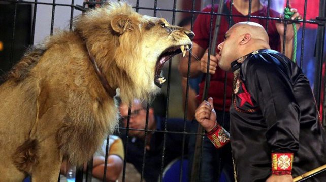 Video: un león atacó y mató a su domador durante un show para chicos | Curiosidades