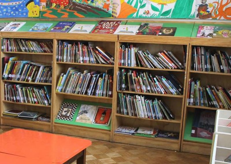 Educación: el 59% de los chicos argentinos tienen menos de 20 libros en sus casas | Actualidad