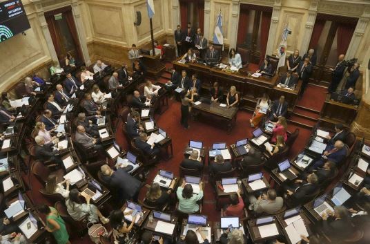 El Senado sesiona para rendir un homenaje al papa Francisco | Política