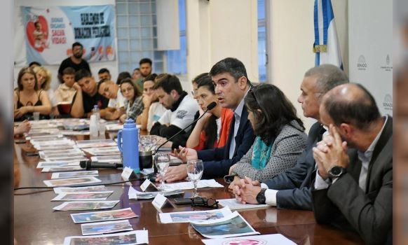 Senado: realizaron un encuentro para visibilizar e incentivar la donación pediátrica de órganos | Política