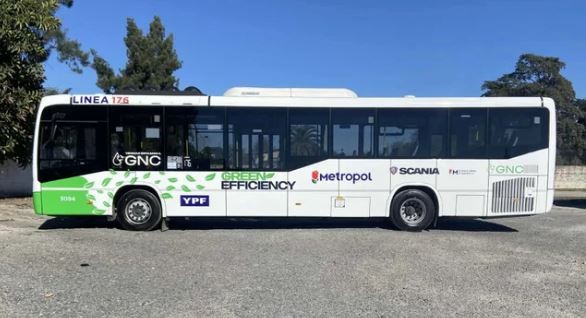 Metropol y Dota no se suman al paro de colectivos | Actualidad